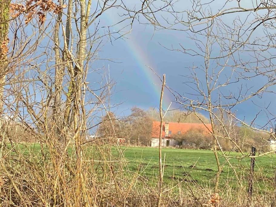 Ferienwohnung Kompass Nahe Der Ostsee Im Gruenen Bad Doberan Exterior photo